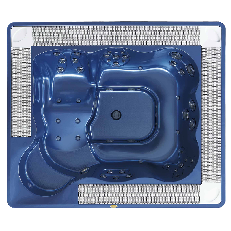 Спа бассейн Jacuzzi Virginia Professional