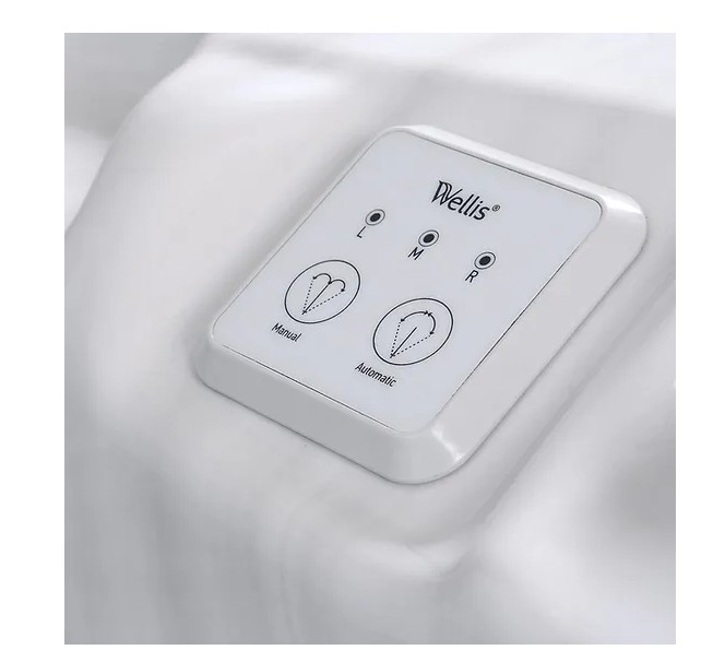 Спа бассейн Wellis Everest Life Premium